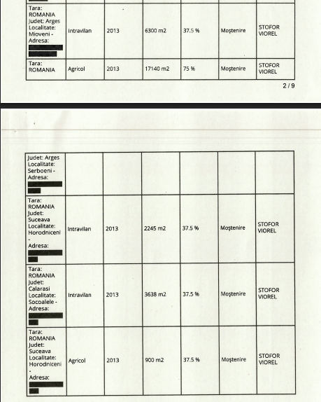 Declarația de avere a lui Ștefan Stofor