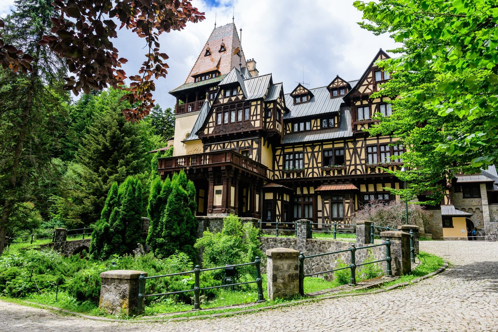 Sursa Foto: Shutterstock