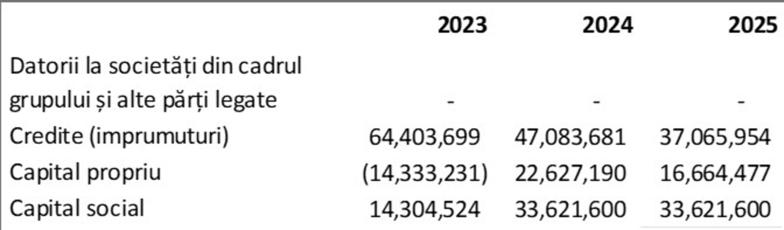 Radiografie financiară FCSB 6
