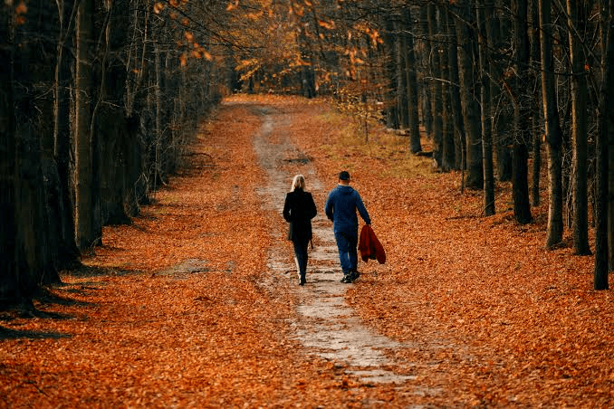 Images 17